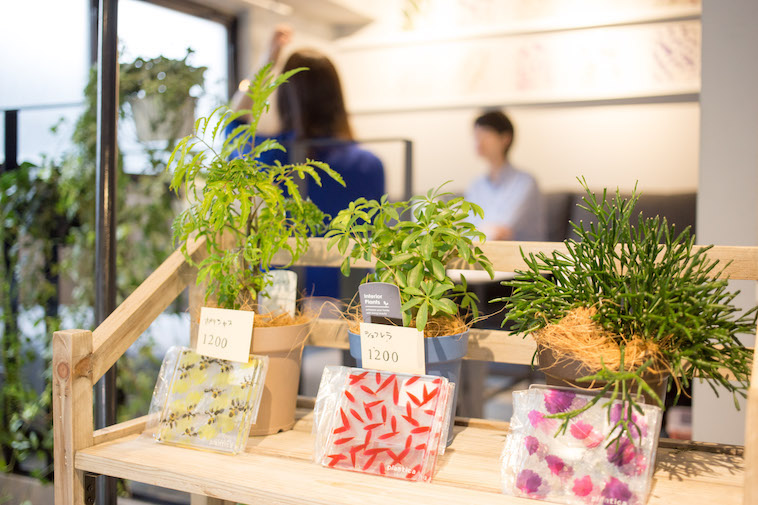 【写真】店内では植物だけでなく、お花が埋め込まれたようなデザインのコースターも販売している