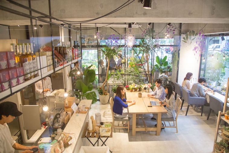 【写真】ガラス張りの店内には植物が飾られ、おしゃれで落ち着く雰囲気