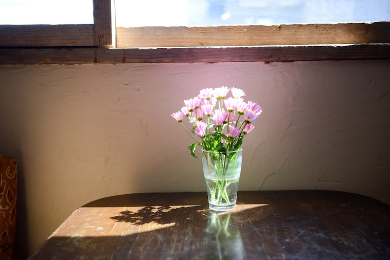 【写真】花瓶に飾られている小さな花が太陽の光を浴びて暖かい空気を作り出している