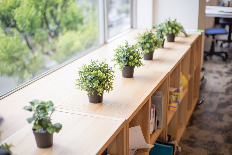 【写真】木製のロッカーの上には植物が置かれており、暖かい空気を作り出している