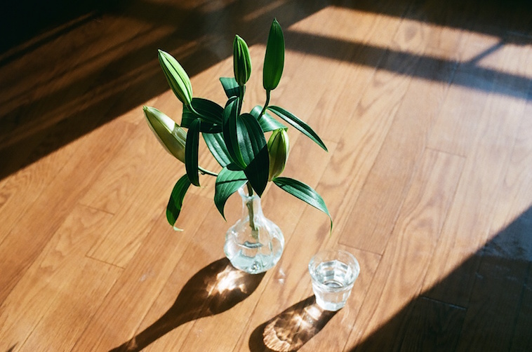 【写真】光が差した床には、葉がいけてある花瓶と、水の入ったコップがおかれている