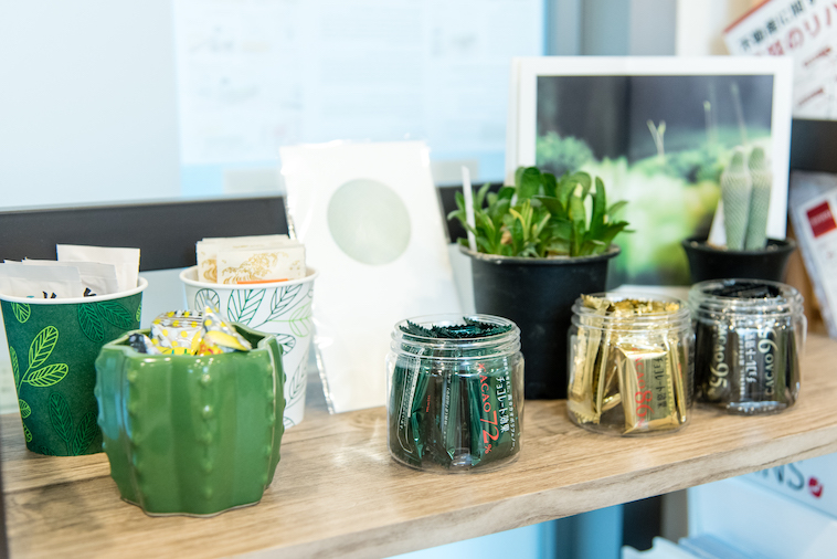 【写真】病院内にはサボテンや観葉植物が並んでいて明るい雰囲気